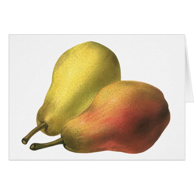 Cartão Pêras Antigas, Alimentos Orgânicos, Frutas Maduras (Frente Horizontal)