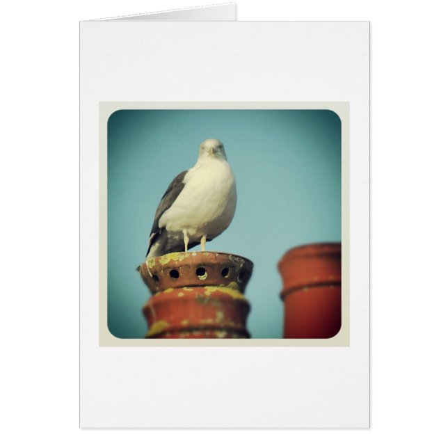 Cartão Perch Favorito (Frente)