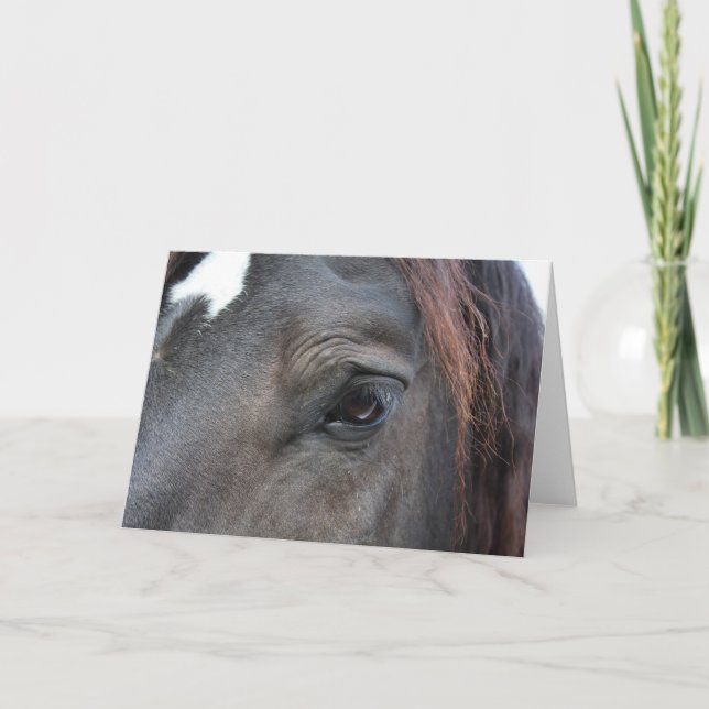 Cartão Percheron Horse Greeting Card (Frente)