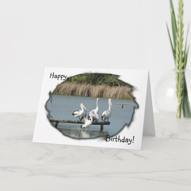 Cartão Perching Pelicans Birthday Card (Frente)