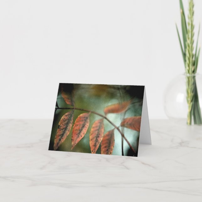 Cartão Perda (Frente)