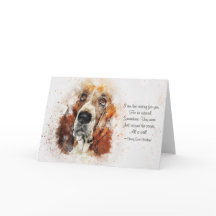 Perda de Cachorro de Estimação (Basset Hound) Cond