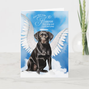 Cartão Perda de Cachorro Labrador Retriever Preto Simpati