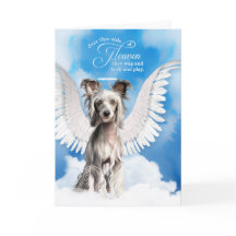 Perda de Cães Chineses Detidos Pet Simpatia