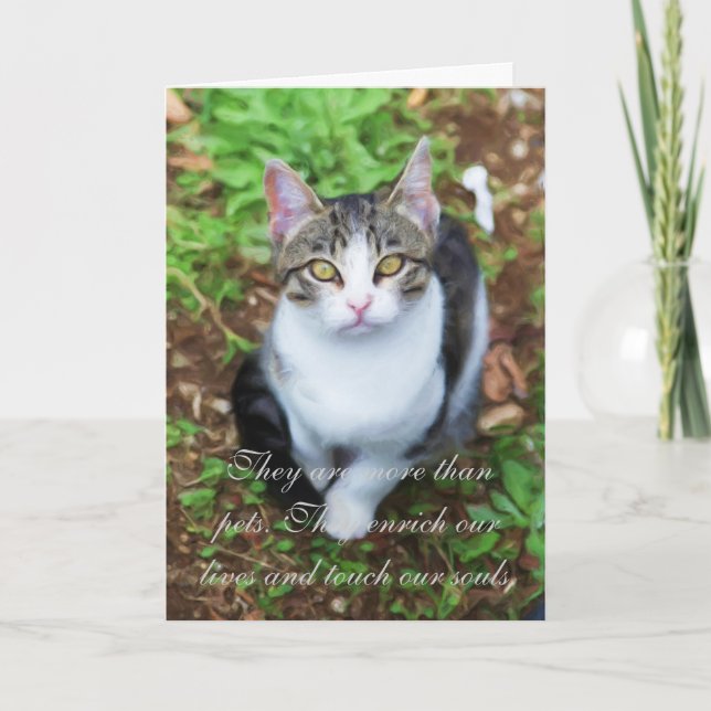 Cartão Perda de gato (Frente)