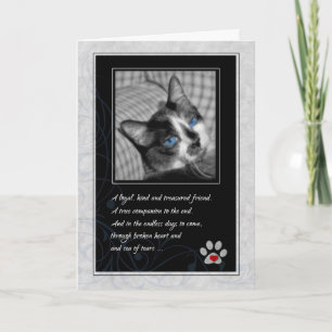 Cartão Perda de Gato Negro e Branco Calico Pet Simpatia