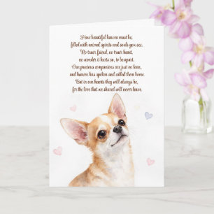 Cartão Perda de Simpatia Canina Chihuahua Espiritual
