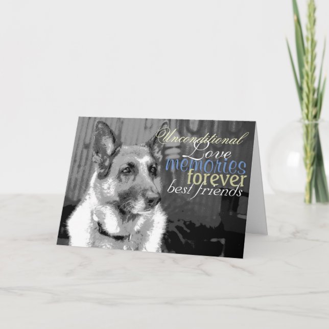 Cartão Perda de simpatia de um Pet (Frente)