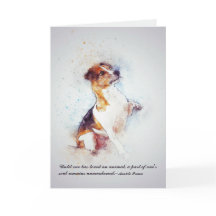 Perda de simpatia feita sob encomenda do cão de