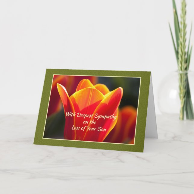 Cartão Perda de Simpatia Filho, Religiosa, Luz do Cristo (Frente)