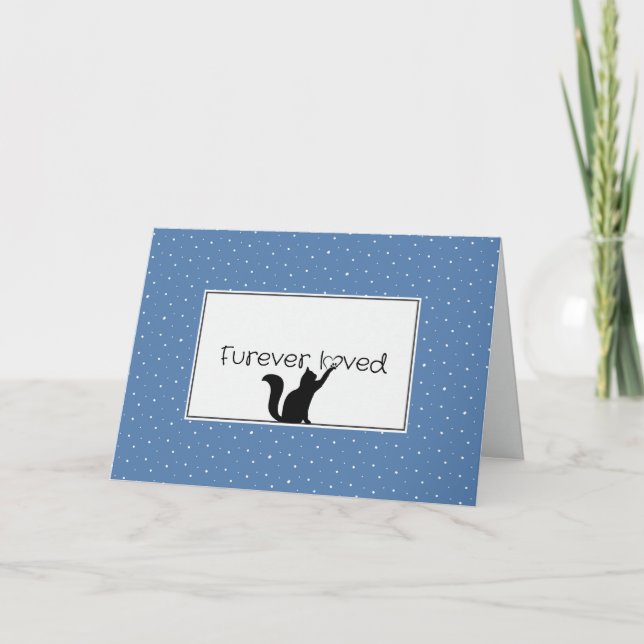 Cartão Perda de simpatia pelo Gatinho (Frente)