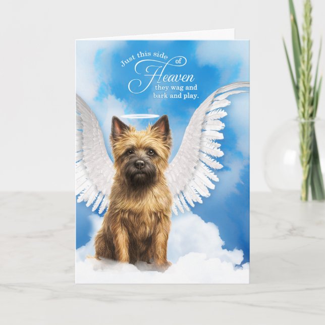 Cartão Perda de um Cairn Terrier Dog Angel Pet Sympathy (Frente)
