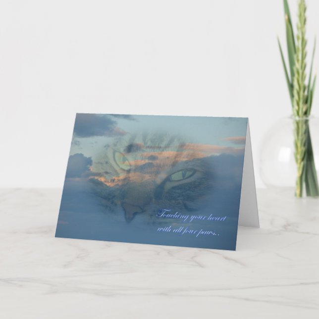 Cartão Perda de um gato. Perda de um animal de estimação. (Frente)