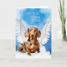 Perda de um Red Tan Dachshund Dog Pet Sympathy