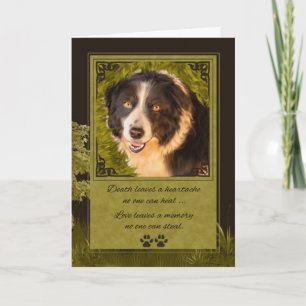 Cartão Perda de uma borda de cão Collie Pet Simpatia
