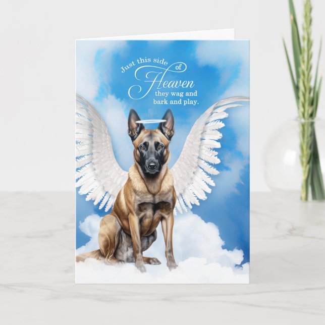 Cartão Perda de uma Simpatia de Pet Anjo Belga Malinois (Frente)