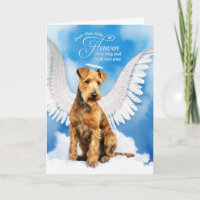 Perda de uma simpatia de Pet Cão-de-Lakeland Terri