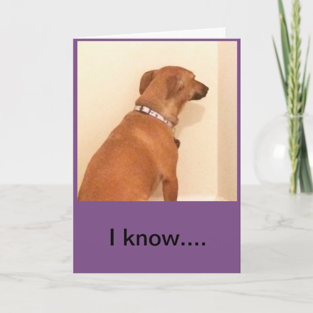 Cartão Perdi seu aniversário... Desculpe. (Frente)