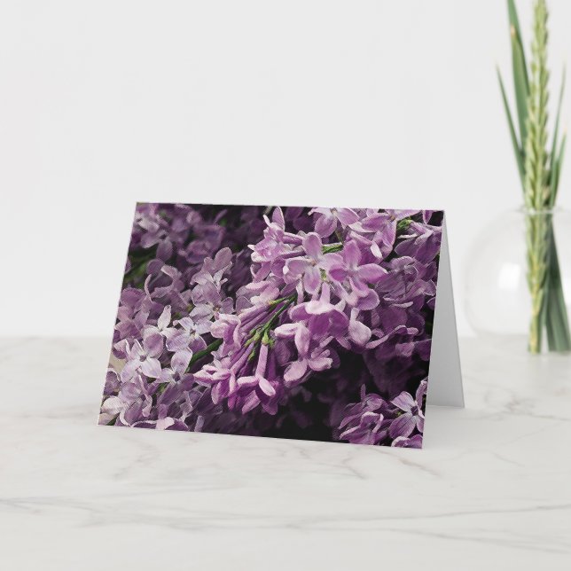 Cartão Perdido em Lilac (Frente)