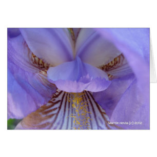 Cartão Perdido em um Sonho