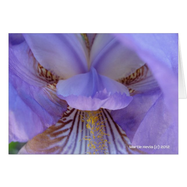 Cartão Perdido em um Sonho (Frente horizontal)