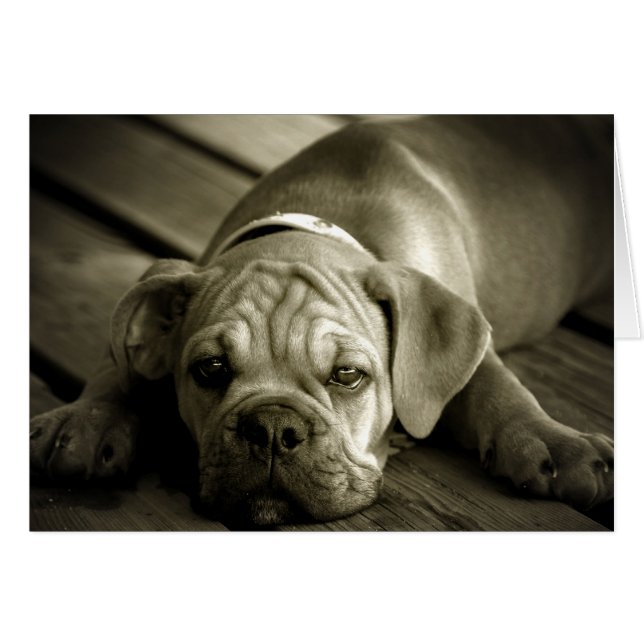 Cartão Perdoe-me (Frente horizontal)