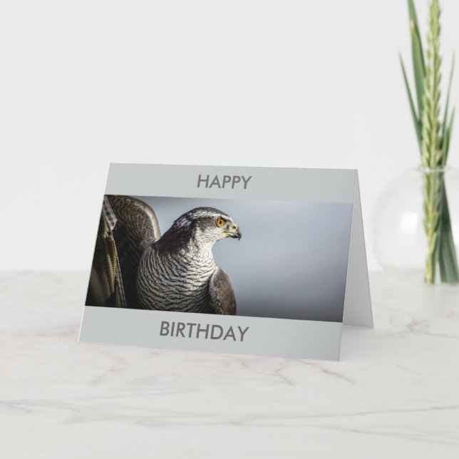 Cartão Peregrine Falcon Birthday Card (Frente)