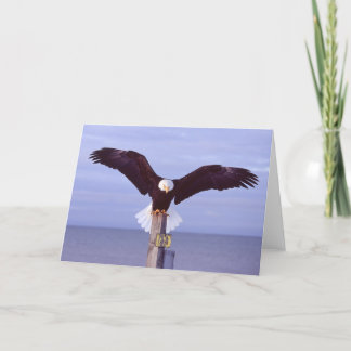 Cartão Perfect Landing Greeting Card