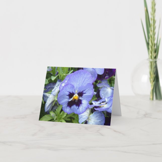 Cartão Perfect Pansy Notecard (Frente)
