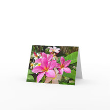 Perfect Pink Plumeria Note Cards