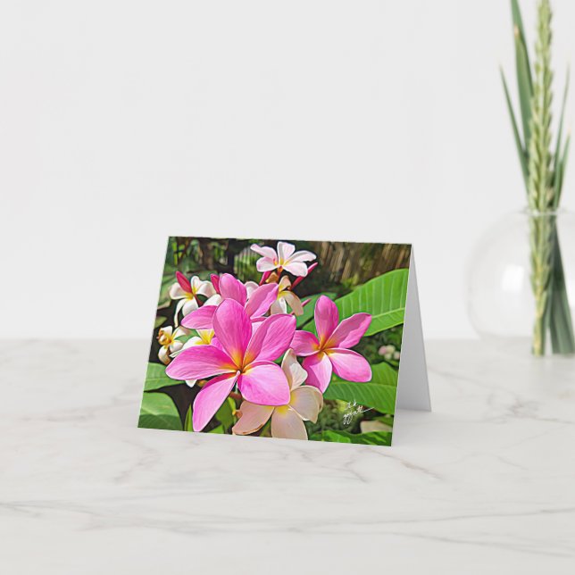 Cartão Perfect Pink Plumeria Note Cards (Frente)