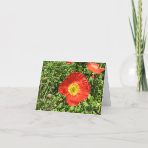 Cartão Perfect Poppies