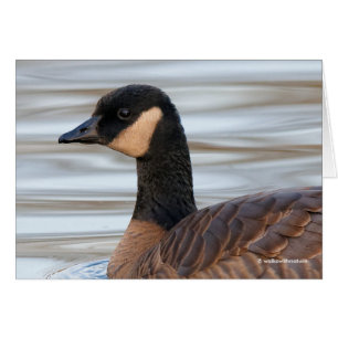 Cartão Perfil de um ganso de estalagem