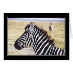 Cartão Perfil dos Milia de Punda (zebra)