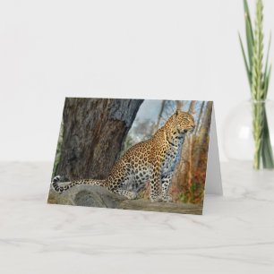 Cartão Perfil Leopardo
