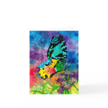 Perfil Madagascar Splash