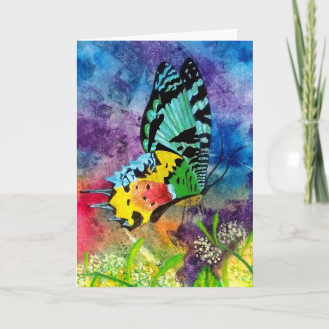 Cartão Perfil Madagascar Splash (Frente)