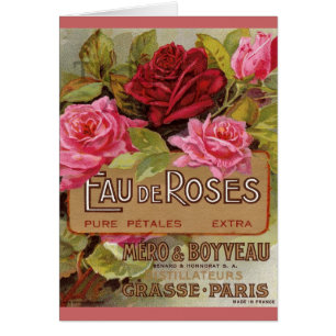 Cartão Perfume de Eau De Rosa Francês