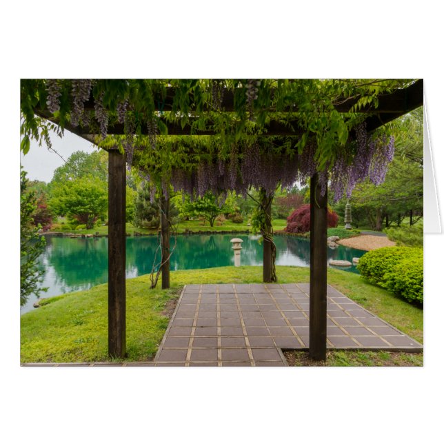 Cartão Pérgola De Wisteria (Frente horizontal)