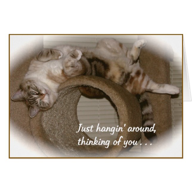 Cartão Pergueiro o Gato (Frente Horizontal)