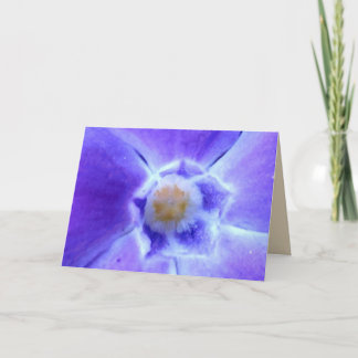 Cartão Periwinkle Blank Greeting Card