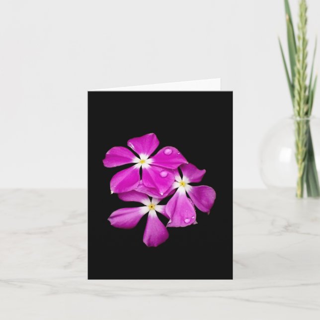 Cartão 'Periwinkle Flowers After Rainfall' Blank Card (Frente)