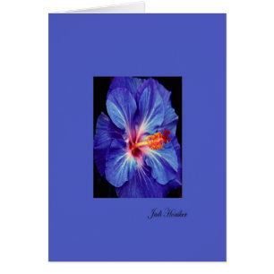 Cartão Periwinkle~One das cores as mais gastas