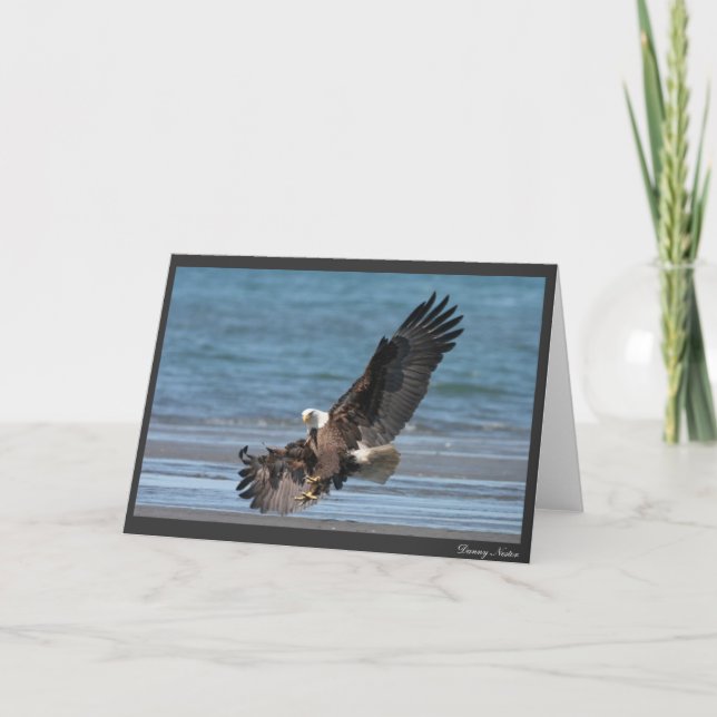 Cartão Permission to Land (Frente)