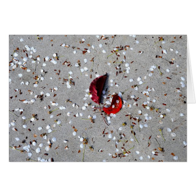 Cartão Pérolas Brancas Vermelhas (Frente Horizontal)