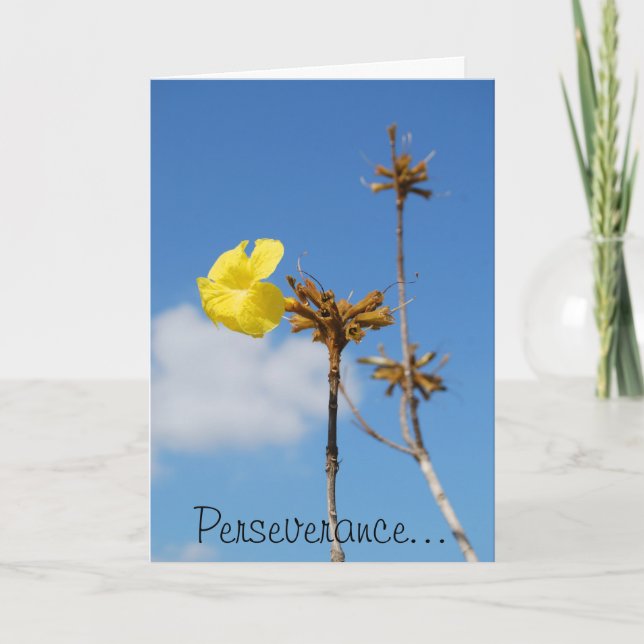 Cartão Perseverance (Frente)