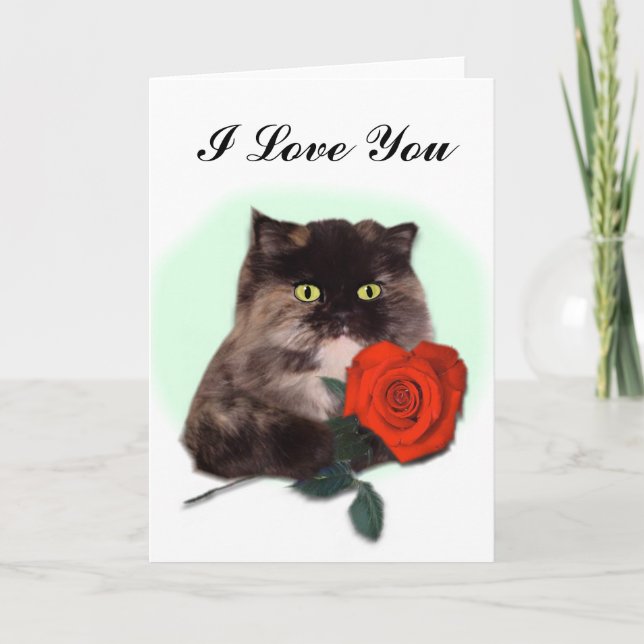 Cartão Persian Cat with Red Rose Card (Frente)
