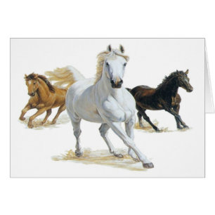 Cartão Persiga o vento