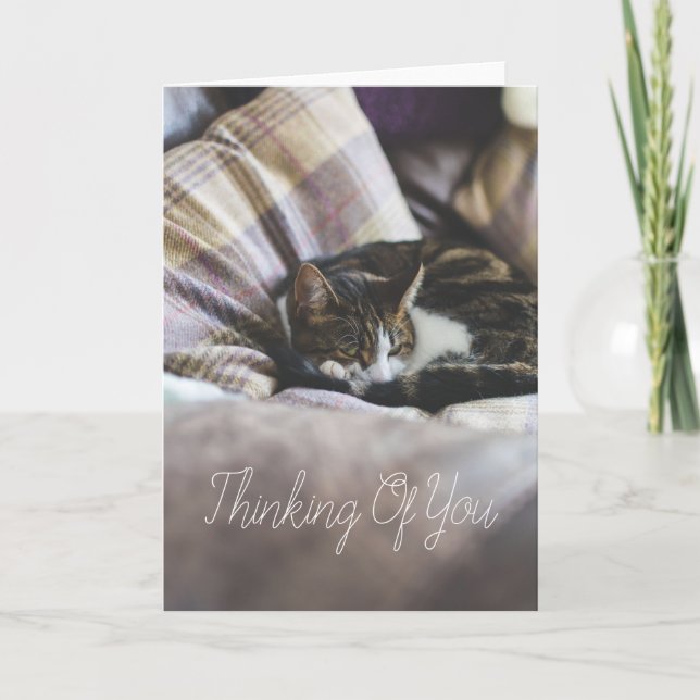 Cartão Personalised Cute Cosy Sleeping Cat Greetings Card (Frente)