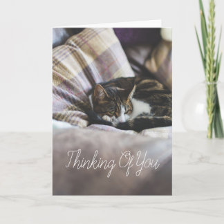 Cartão Personalised Cute Cosy Sleeping Cat Greetings Card